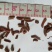 丹参细段看规格下单批发零售品种齐全量大从优