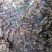 天麻片，统货天麻个