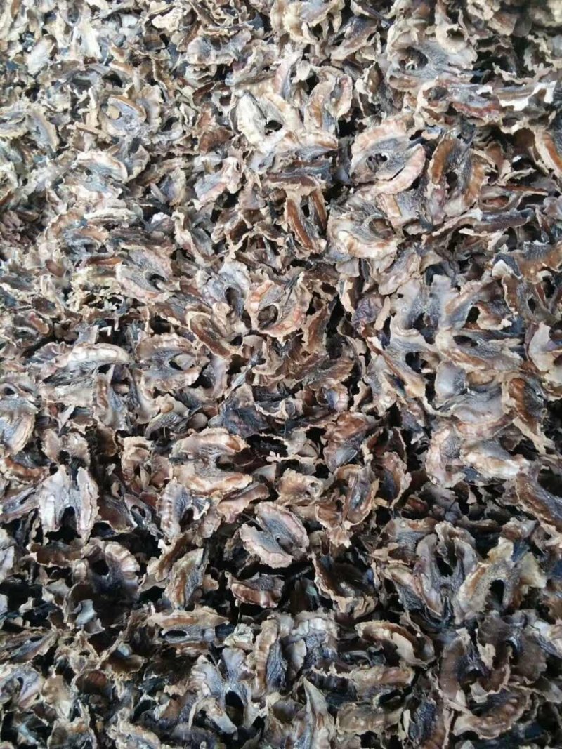 产地直发云南漾濞县核桃分心木50元一箱，净8斤包邮