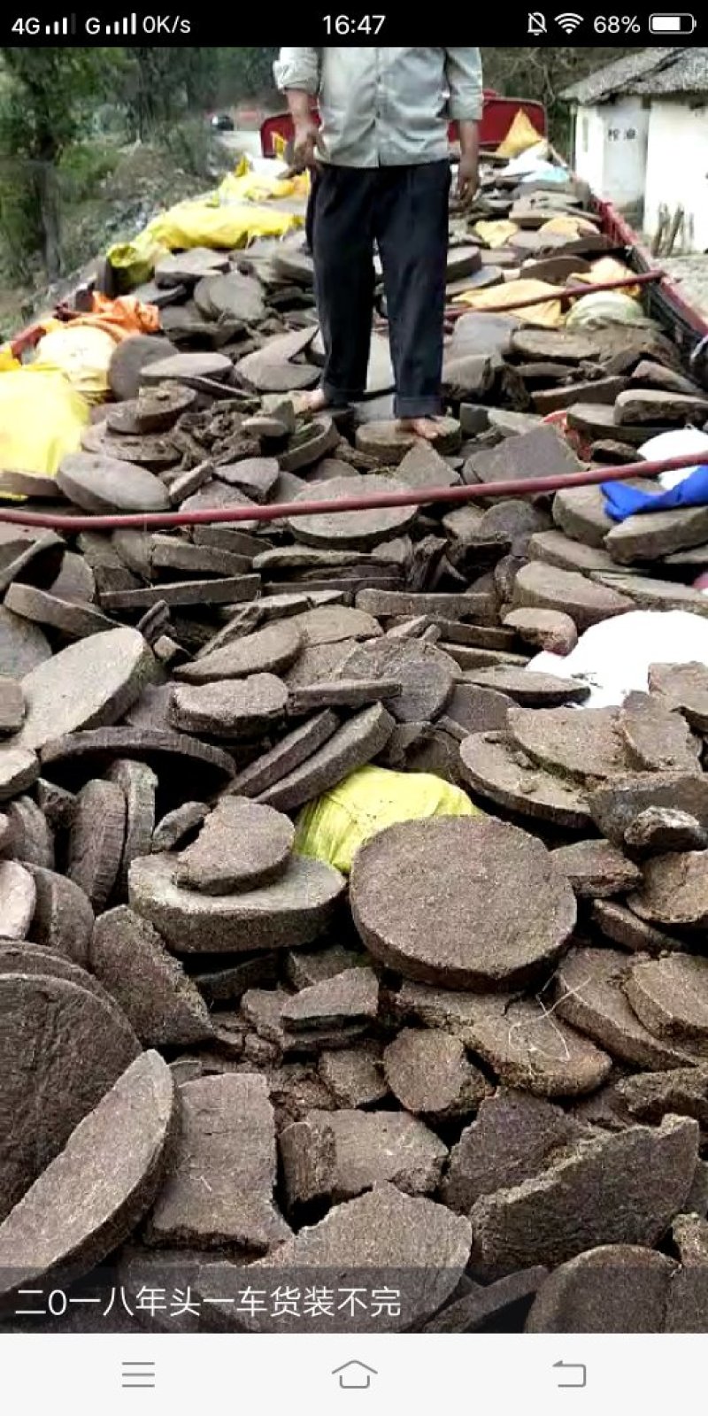 茶敷