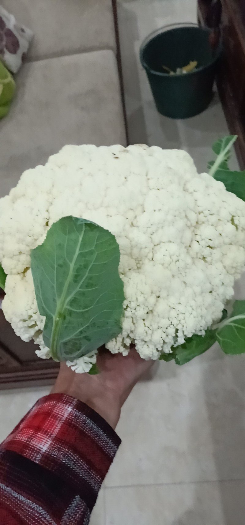 散花