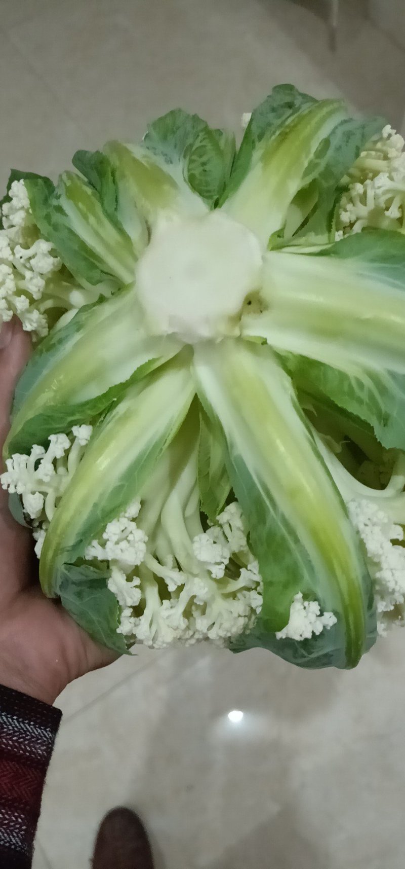散花