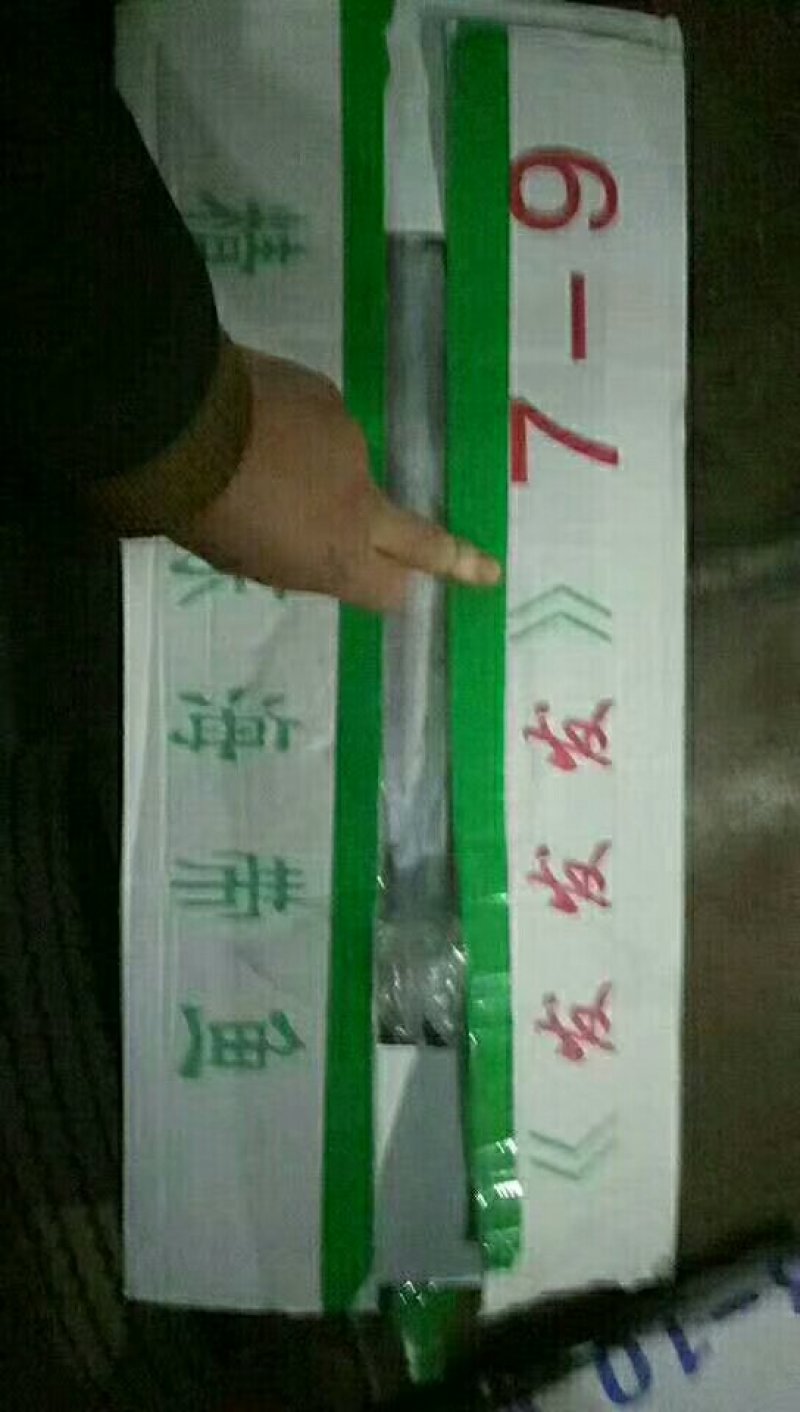 带鱼。规格7-9。8-10。10-12