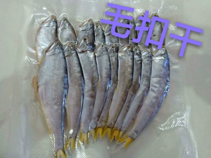 刀鱼干