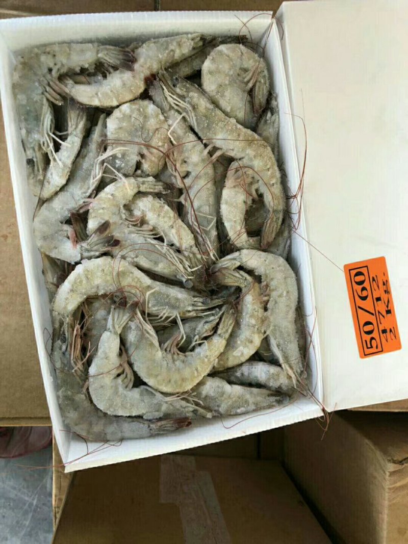 厄尔多虾。规格全
