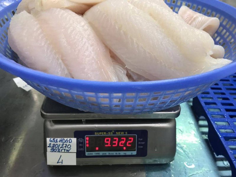 开背巴沙鱼
