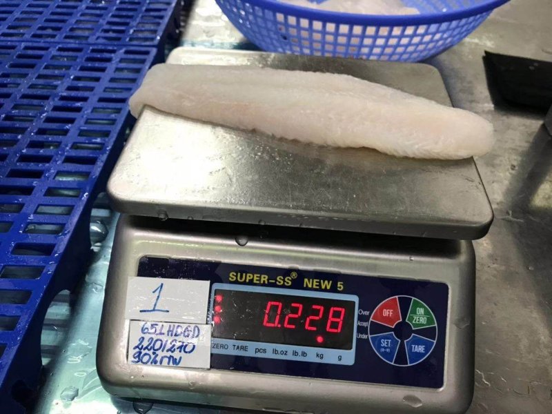开背巴沙鱼