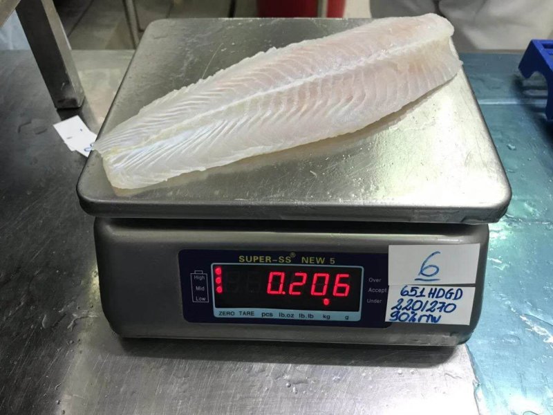 开背巴沙鱼
