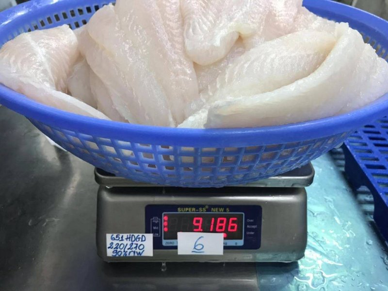开背巴沙鱼