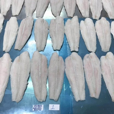 开背巴沙鱼