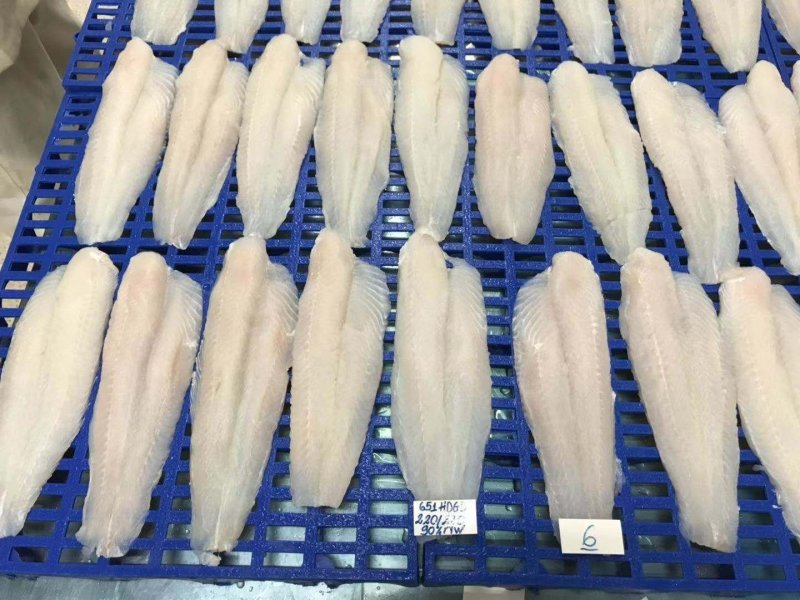 开背巴沙鱼
