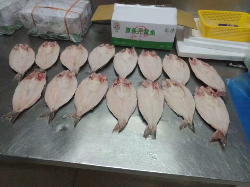 开背巴沙鱼