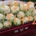特量特价供应