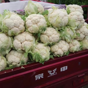 特量特价供应