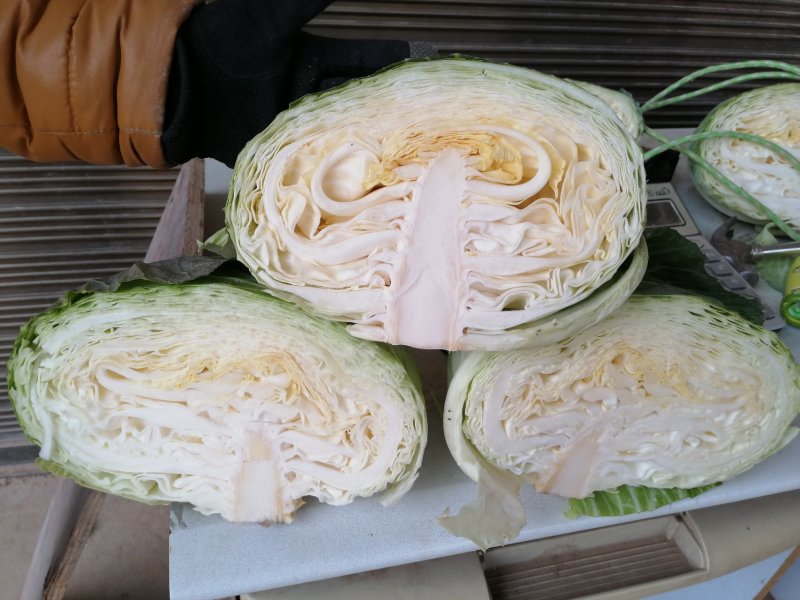 特量特价供应