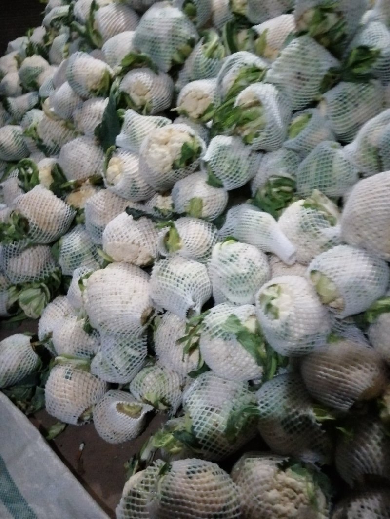 特量特价供应