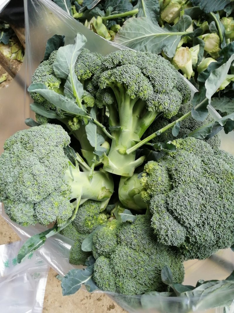 特量特价供应