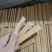 饼干仙灵棒