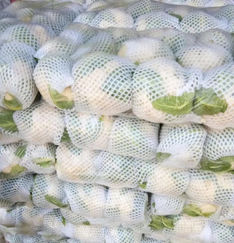 松紧菜花2~3斤，颜色白，包装齐全，欢迎整车采购发货