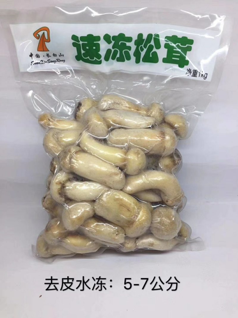 鲜冻松茸