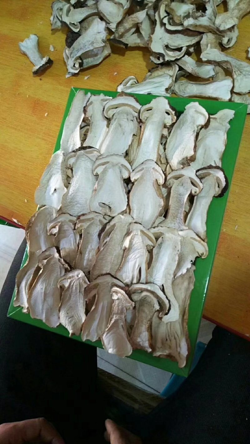 鲜冻松茸