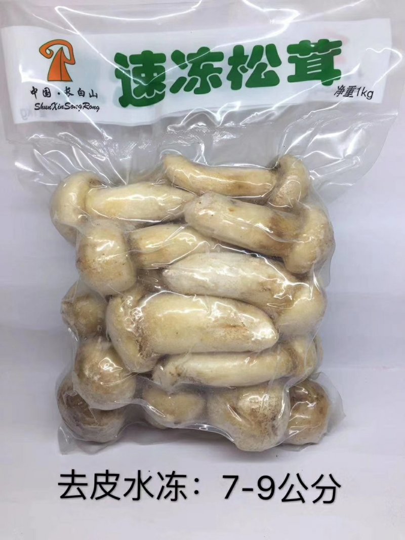 鲜冻松茸