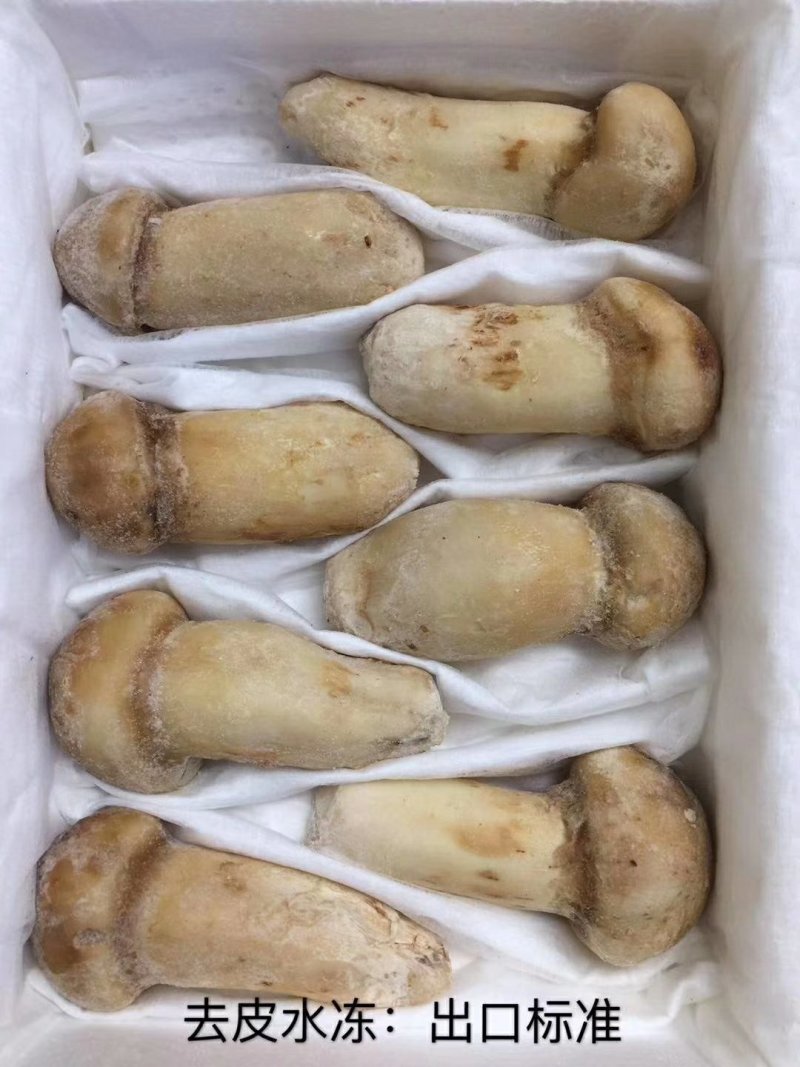 鲜冻松茸