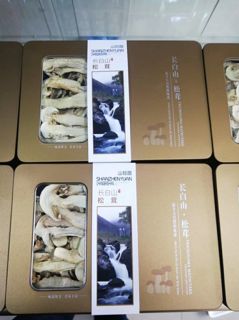 松茸干片