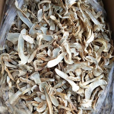 松茸干片
