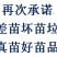 凤凰李苗早熟五月脆李苗红脆李苗一年结果包技术基地直发