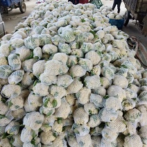 花菜青根花菜大量供应，小米散花精品