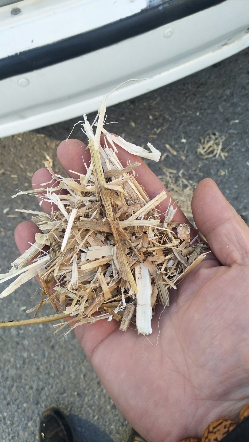 打量出售玉米秸秆揉丝除尘出土没有膜，质量好放心采购，安全