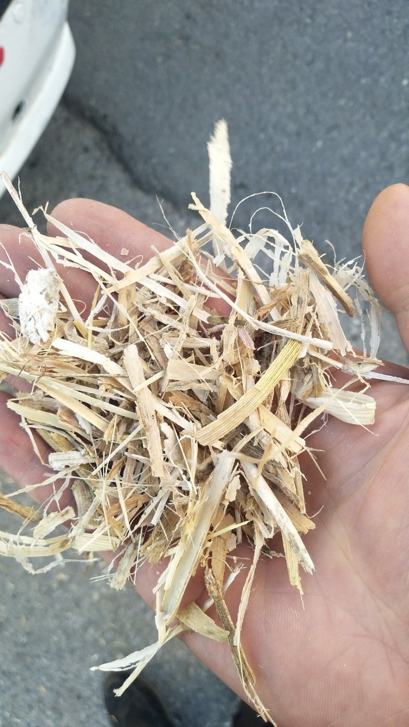 打量出售玉米秸秆揉丝除尘出土没有膜，质量好放心采购，安全