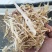 打量出售玉米秸秆揉丝除尘出土没有膜，质量好放心采购，安全