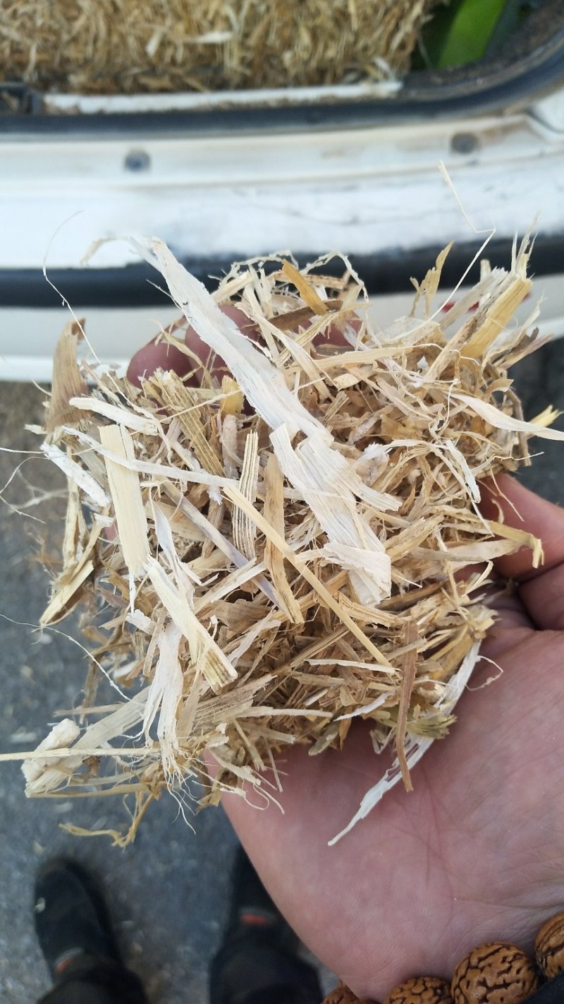 打量出售玉米秸秆揉丝除尘出土没有膜，质量好放心采购，安全