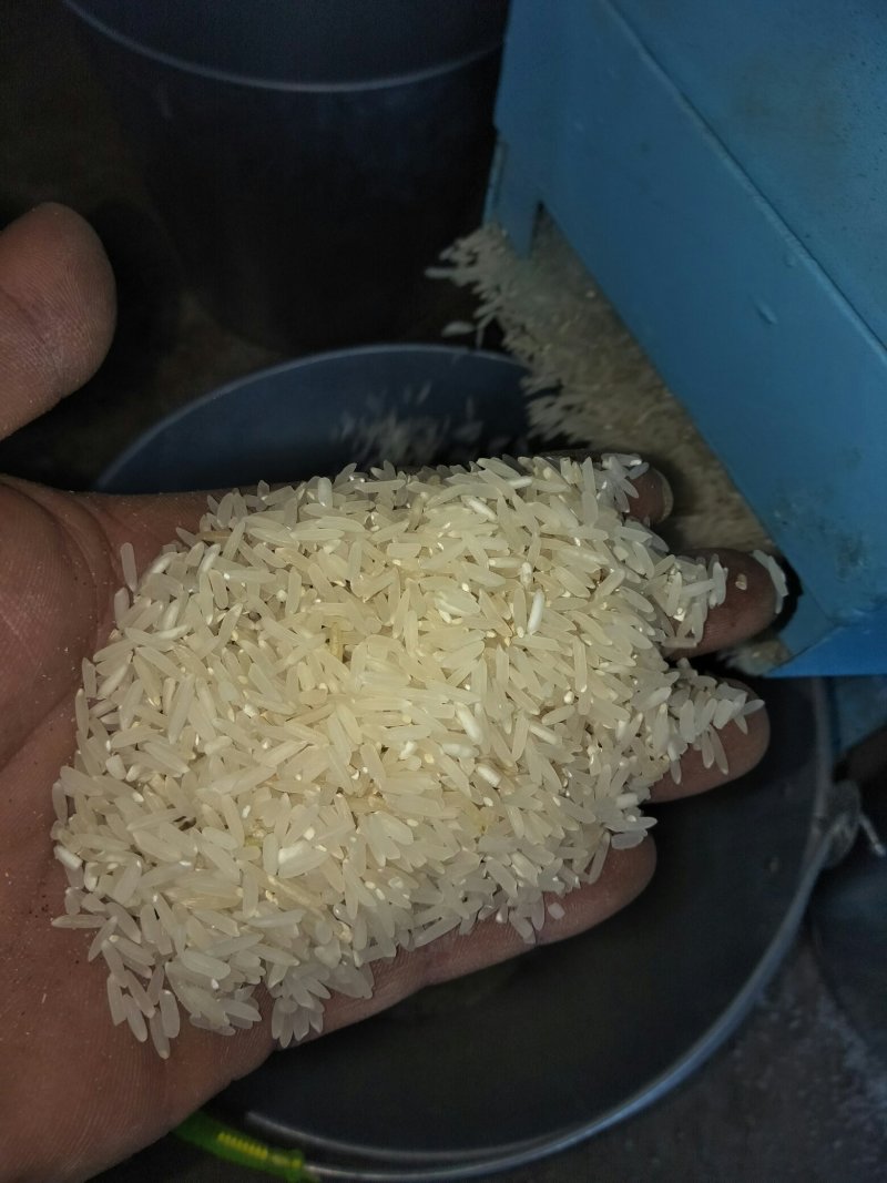新鲜富硒米，现碾现卖