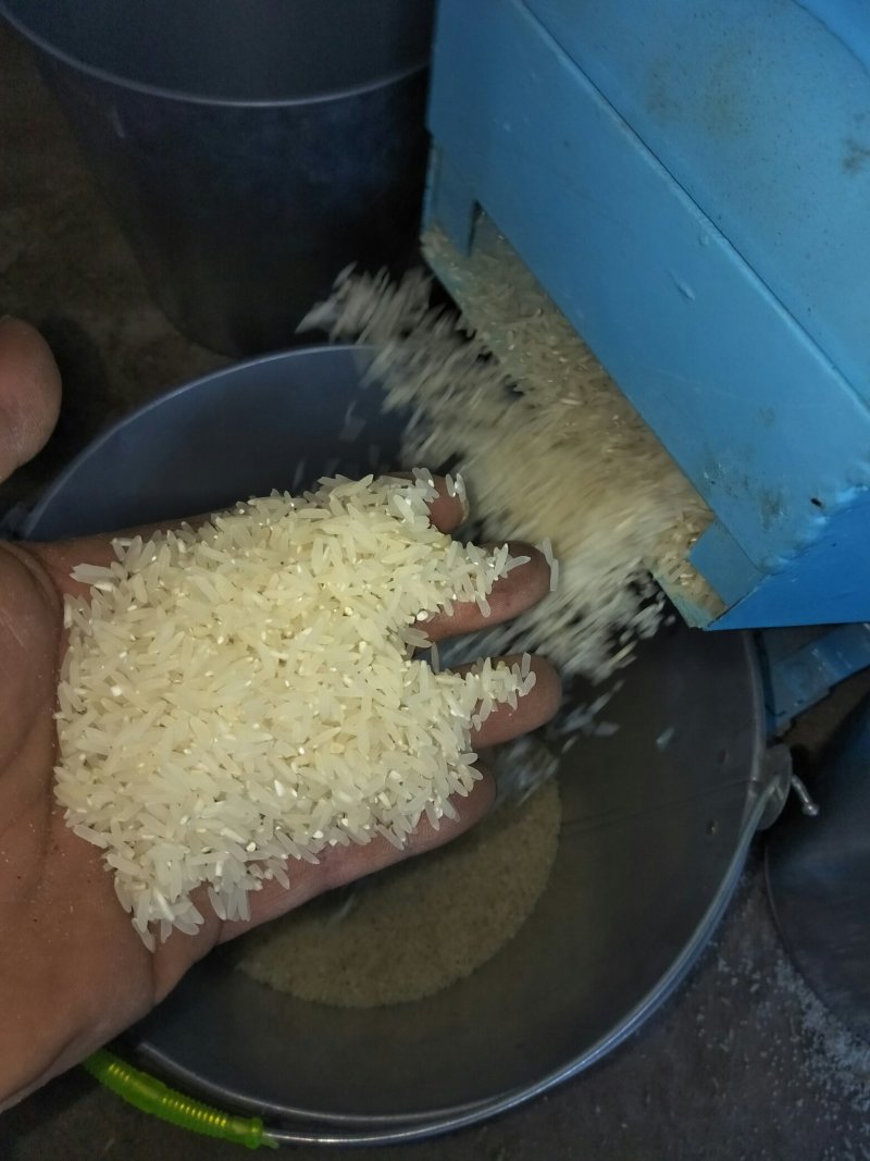 新鲜富硒米，现碾现卖