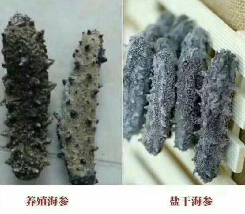 辽刺参，产地直发，保证质量！一件代发！