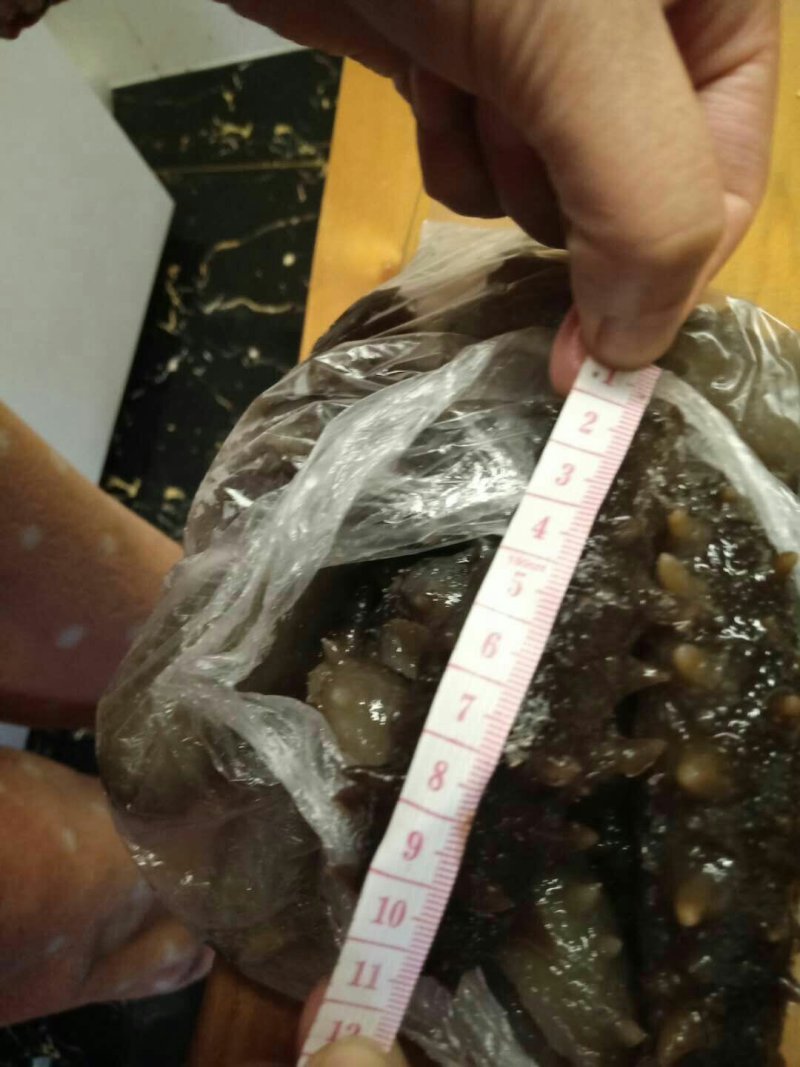 辽刺参，产地直发，保证质量！一件代发！