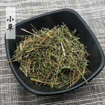 小草远志全草中药材