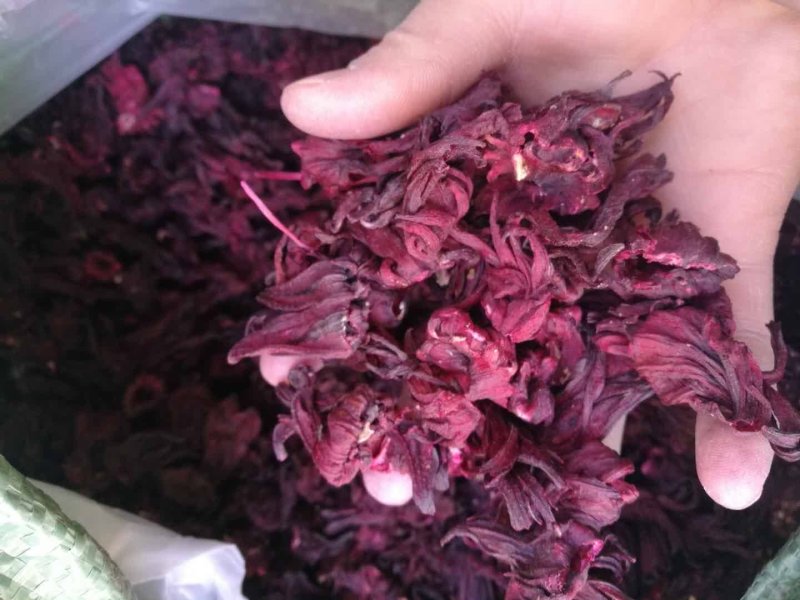 云南玫瑰茄，进口玫瑰茄，各种规格有大货