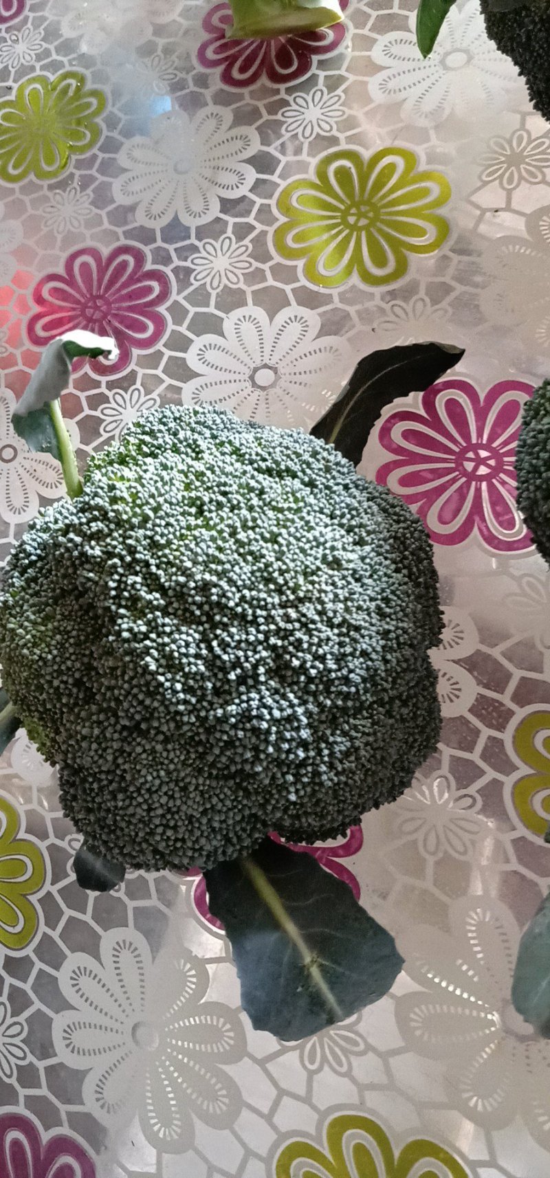 西兰花