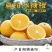 湖南麻阳冰糖橙