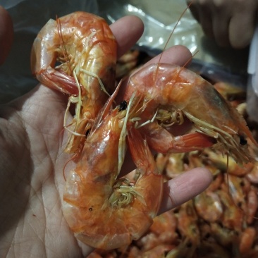特价烤虾，干虾，烤虾干
