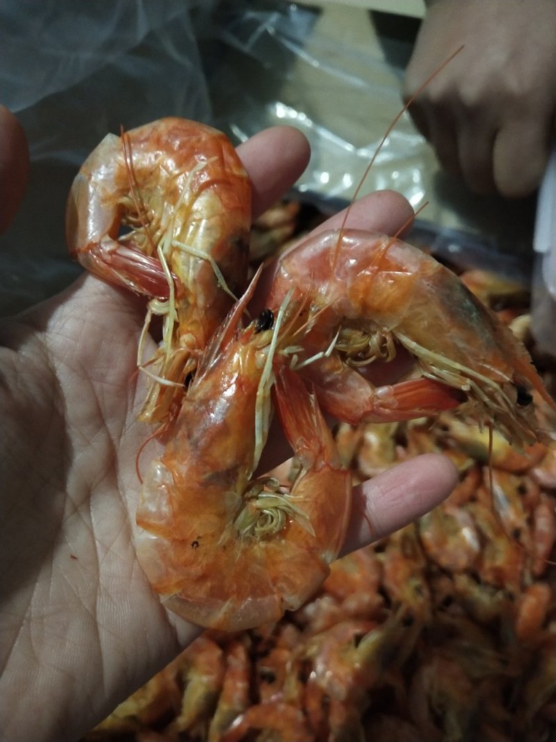 特价烤虾，干虾，烤虾干