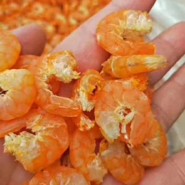 原干大海米，，干虾仁，虾仁干度好，个头大