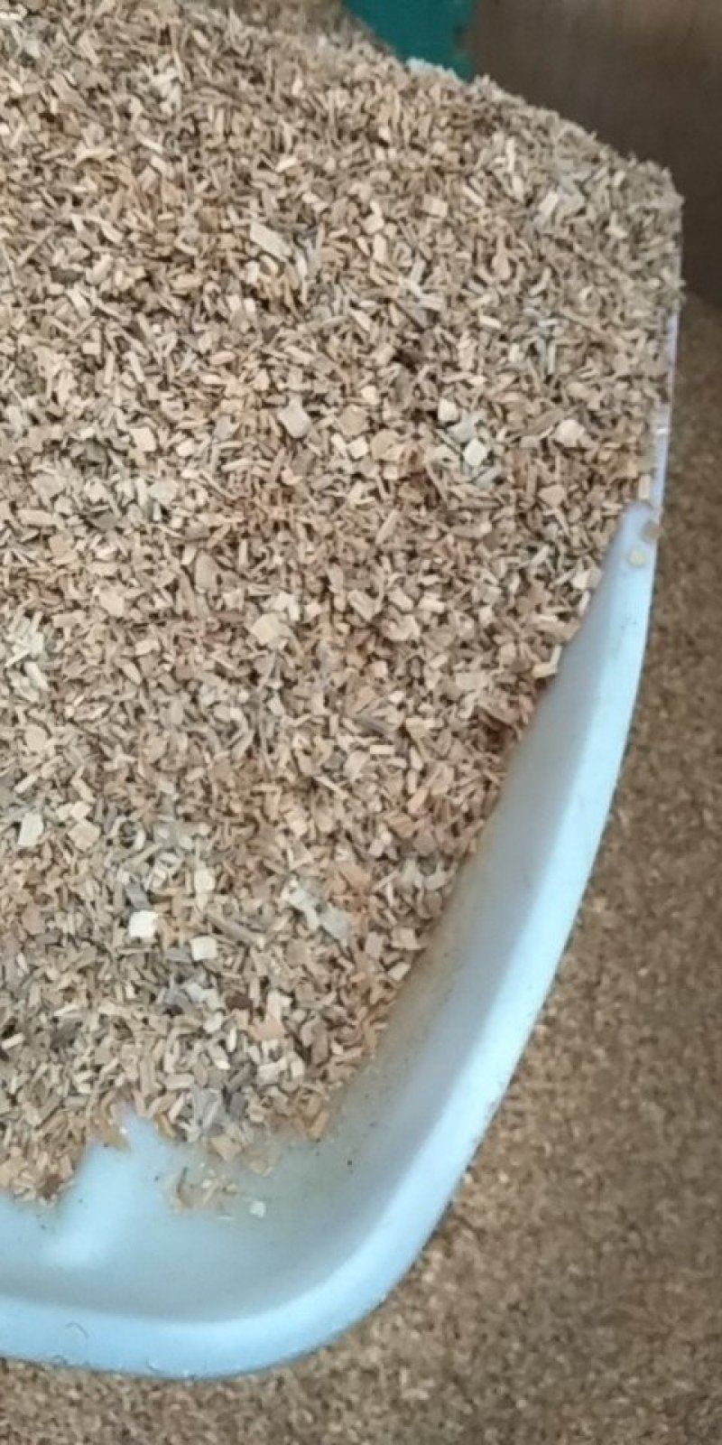 木屑。