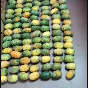 火参果
