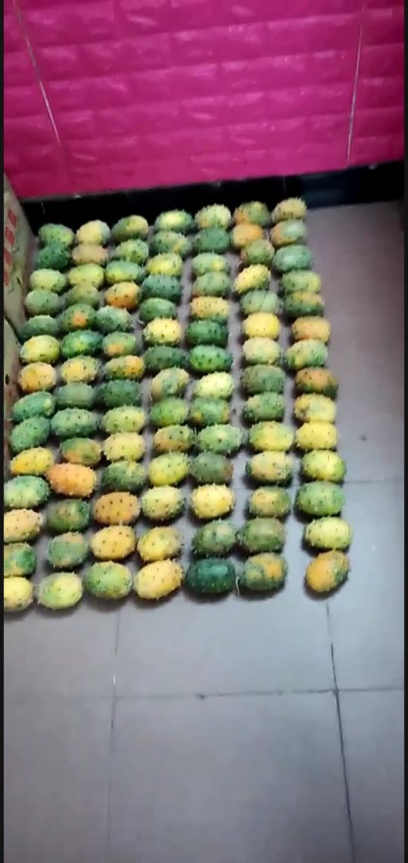 火参果