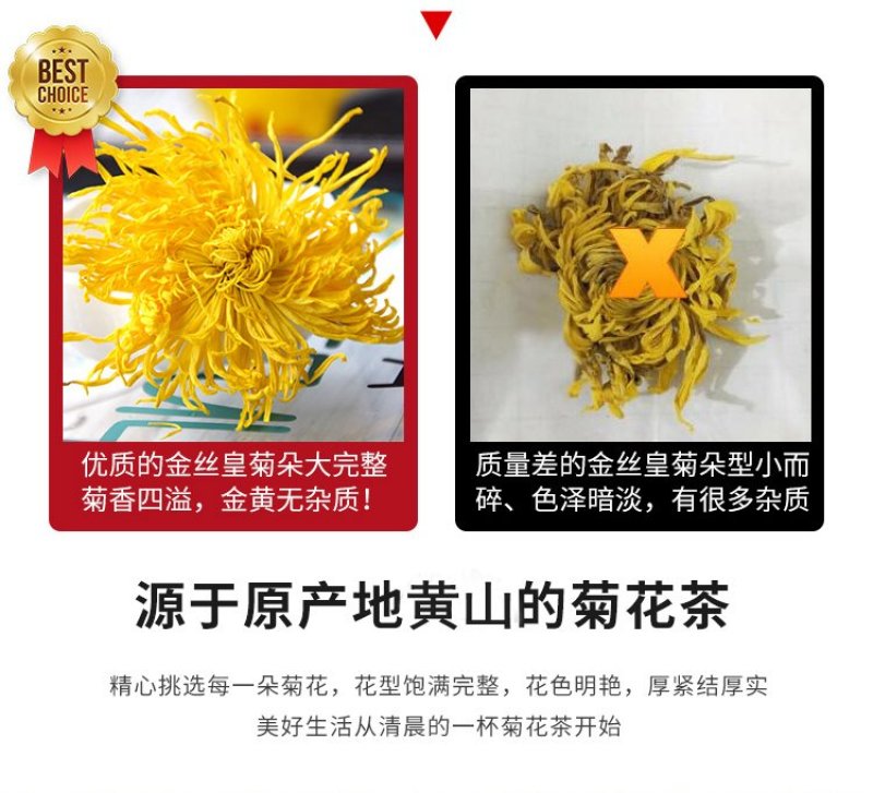 菊花茶金丝皇菊黄菊一朵一杯花茶大菊花茶贡菊搭枸杞茶叶